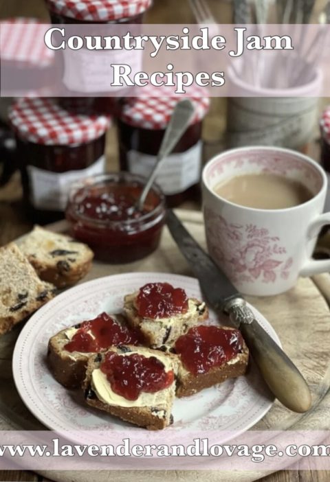 Celebrating the BER months with Homemade Jam Recipes
