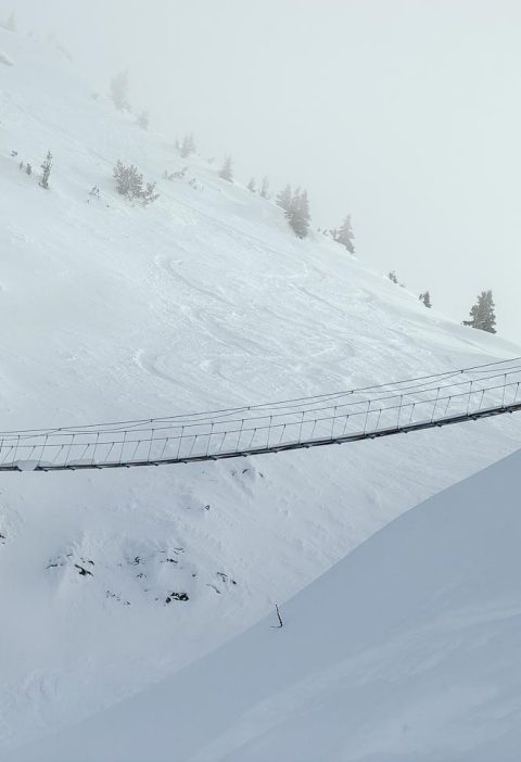 You need to ski Kicking Horse