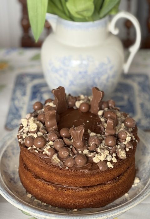 Malted Milk Chocolate Cake