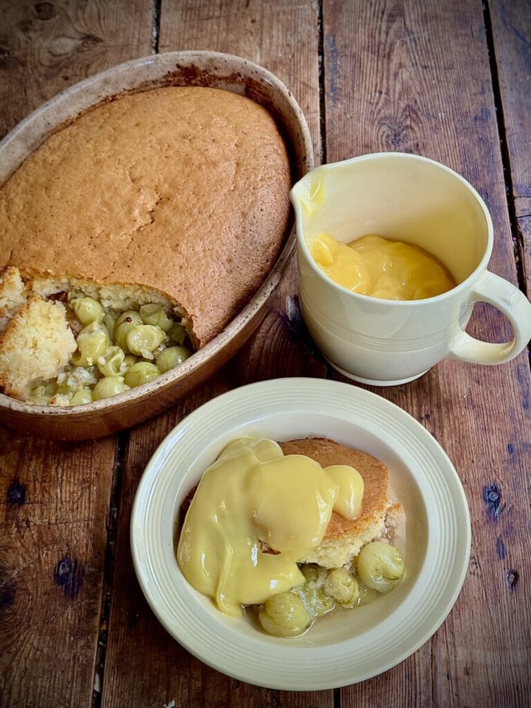 Baked Gooseberry Pudding