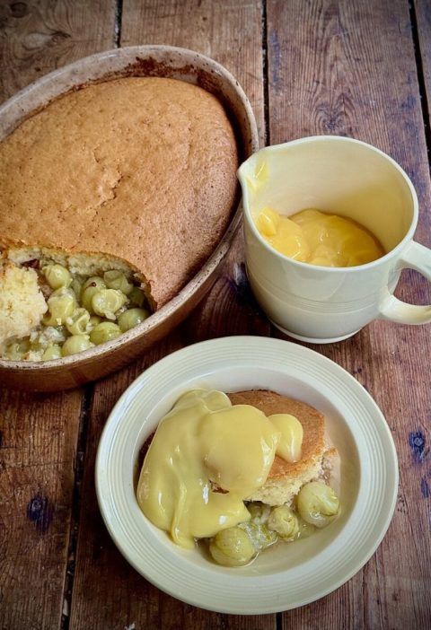 Baked Gooseberry Pudding