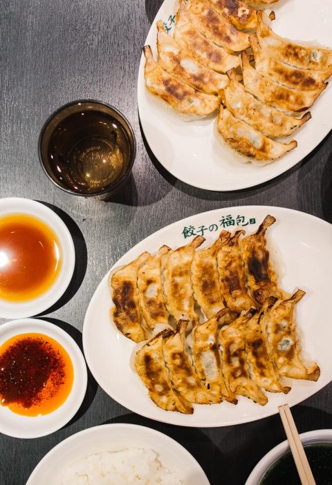 Make the best homemade gyoza with this recipe