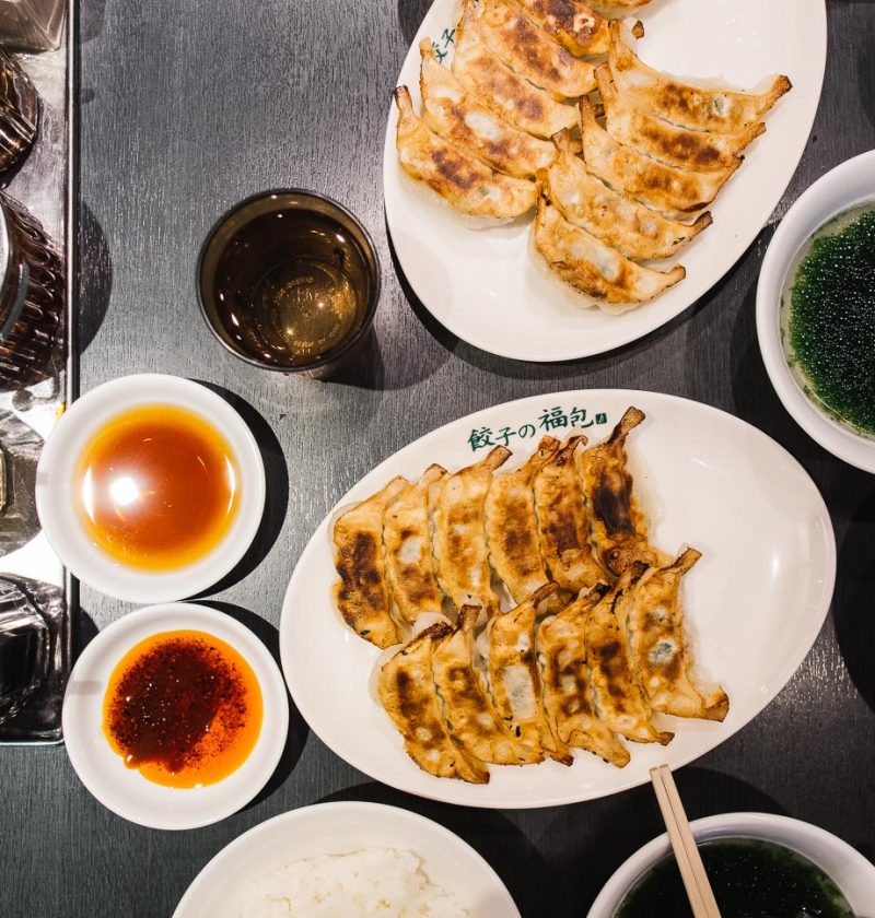 Make the best homemade gyoza with this recipe