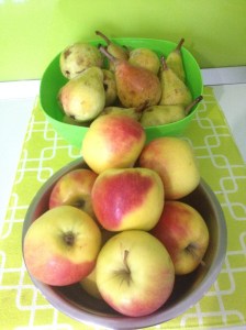 Gem de mere Èi pere