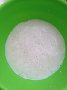 Melci cu stafide si caise